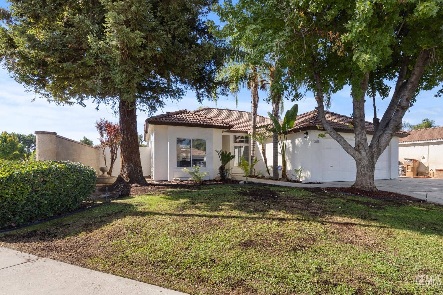 10503 Petalo Drive — photo 1