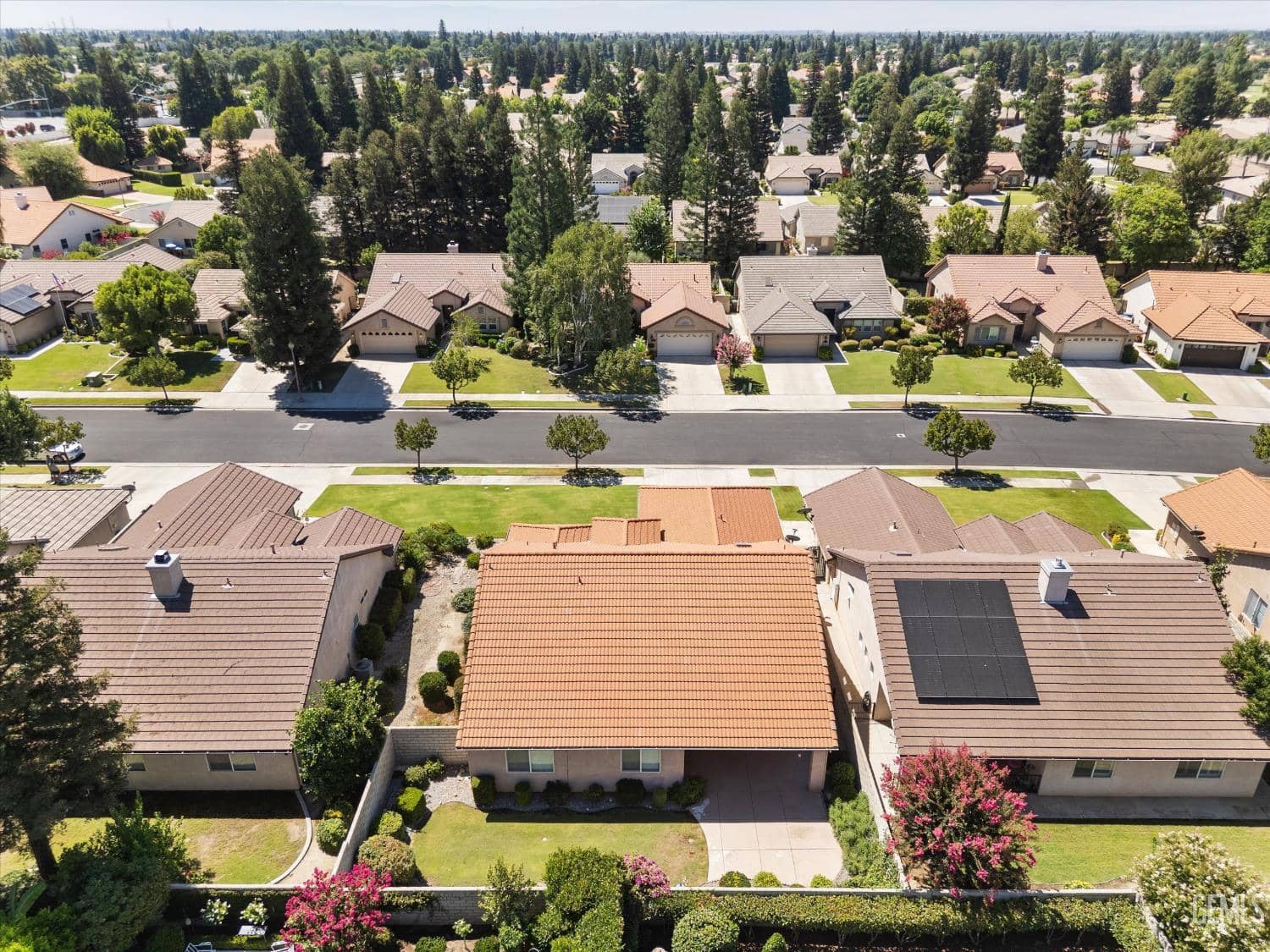 10006 Allspice Rose Court — photo 4